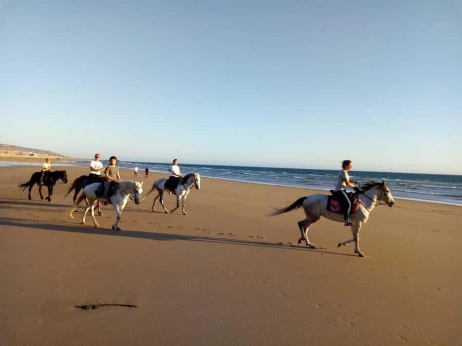 Agadir and Taghazout: 2-Hour Horseback Ride on the Beach - Who should book this beach ride?