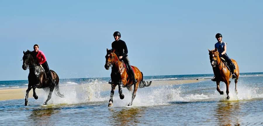 Agadir and Taghazout: Morning Horse Ride on The Beach - What the ride feels like for first-time riders
