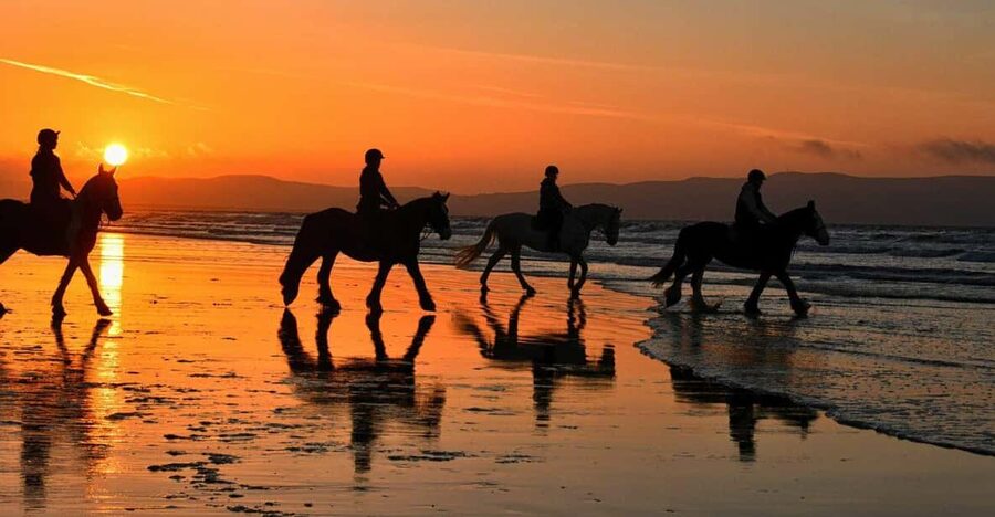 Agadir and Taghazout: Morning Horse Ride on The Beach - Is $45 a fair price?