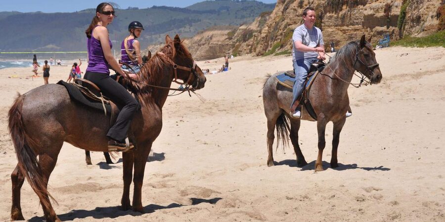 Agadir: Forest and Sand Dunes Guided Horse Riding - Should you book the Agadir horse ride?