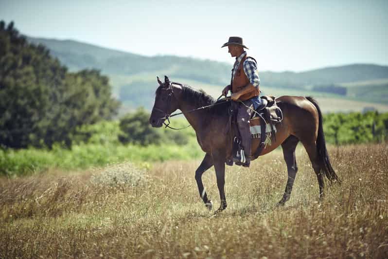 Agadir: Forest and Sand Dunes Guided Horse Riding - Reaching the beach and sand dunes
