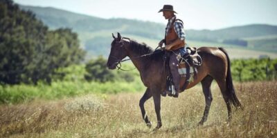 Forest and Sand Dunes Guided Horse Riding