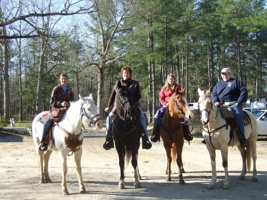 Agadir: Forest and Sand Dunes Guided Horse Riding - Who will enjoy this ride most?