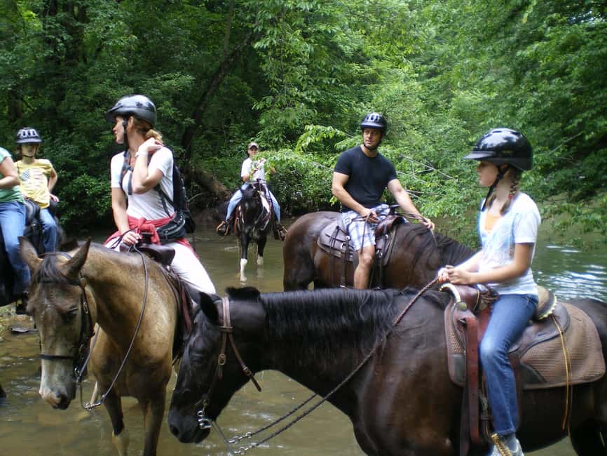 Agadir: Forest and Sand Dunes Guided Horse Riding - Practical tips for a smoother ride