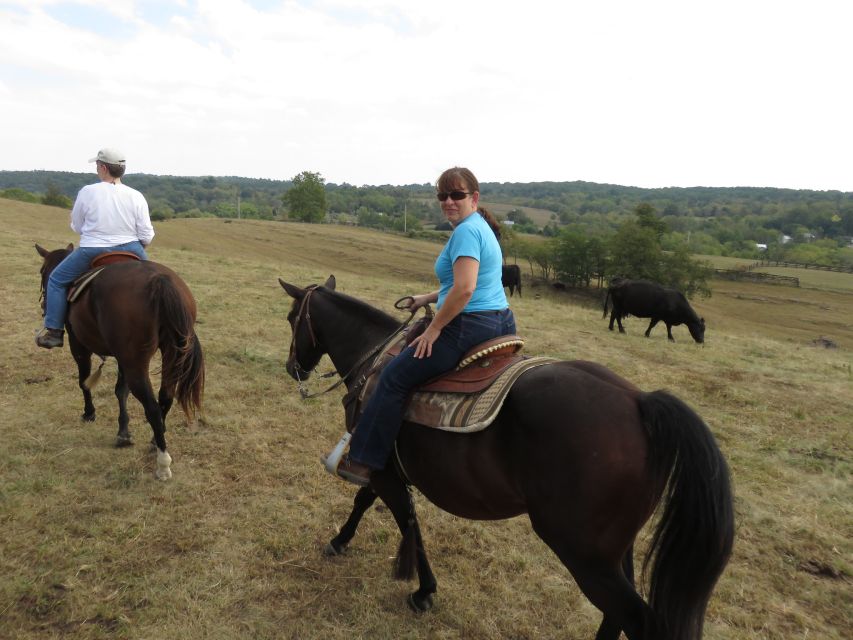 Agadir: Guided Horse Riding Along Flamingo River with Tea - Crossing the rolling desert dunes