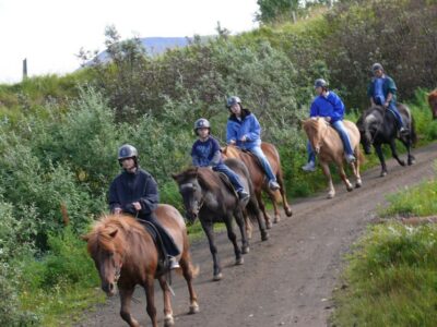 Guided Horse Riding Along Flamingo River with Tea