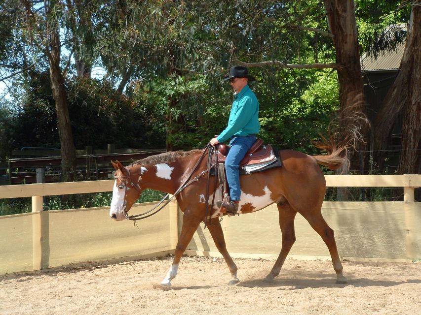 Agadir: Guided Horse Riding Along Flamingo River with Tea - Reaching Flamingo River