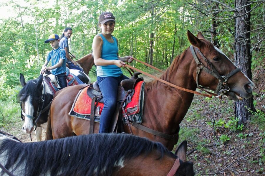 Agadir: Guided Horse Riding Along Flamingo River with Tea - Languages, flexibility, and cancellation
