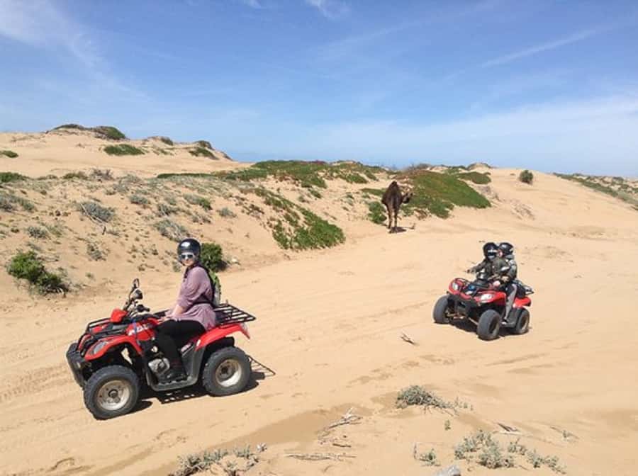 Agadir: Half-Day Quad Biking and Sunset Horse Riding - Who Should Book This Four-Hour Outing?