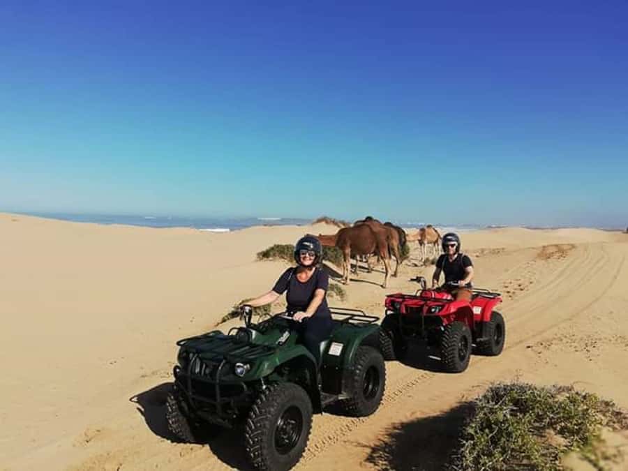 Agadir: Half-Day Quad Biking and Sunset Horse Riding - Should You Book Agadir’s Quad and Horse Combo?