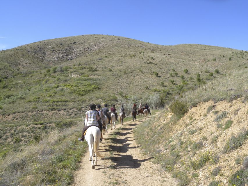 Agadir Horse Riding visite the flamingo river with tea drink - Tea, biscuits, and the end of the outing