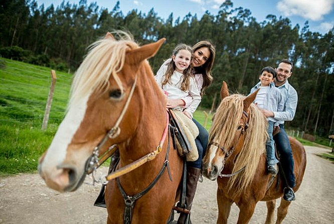 Agadir Quad Biking and Horse Riding with snacks - Who will get the most from this experience