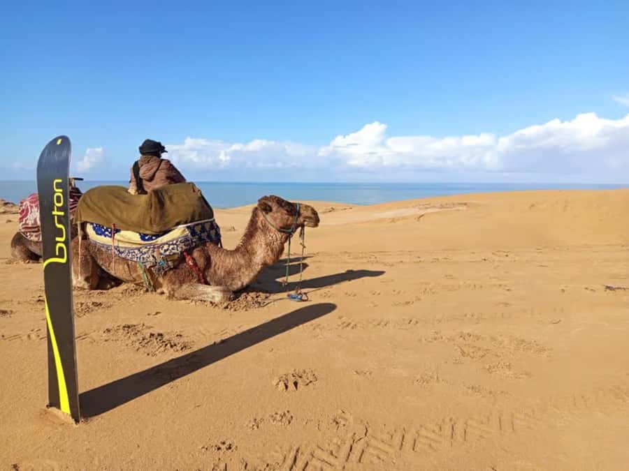 Agadir Sinec Canyon Desert Tour + Optional Sandboarding - The one-hour van ride and hotel pickup
