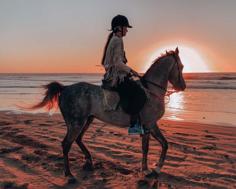 Agadir: Sunset Horse Riding Experience And Relaxing Massage - Riding a Barb Arabian beside Agadir