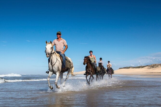 Agadir/Taghazout Horse Ride on the beach - Mint tea and the return to the ranch