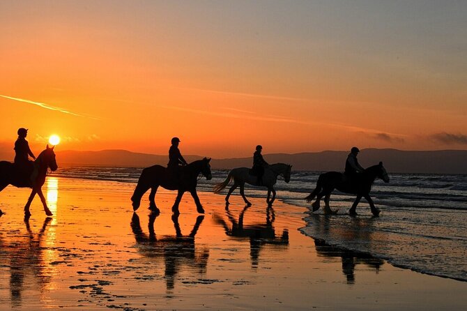 Agadir/Taghazout Horse Ride on the beach - Choosing a horse for your level