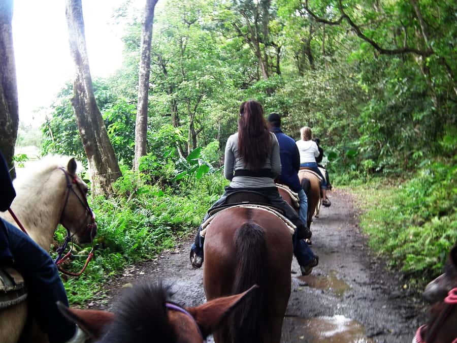 Agadir/Taghazout: Horse Rides Experience With Transfers - Key points to know before you book
