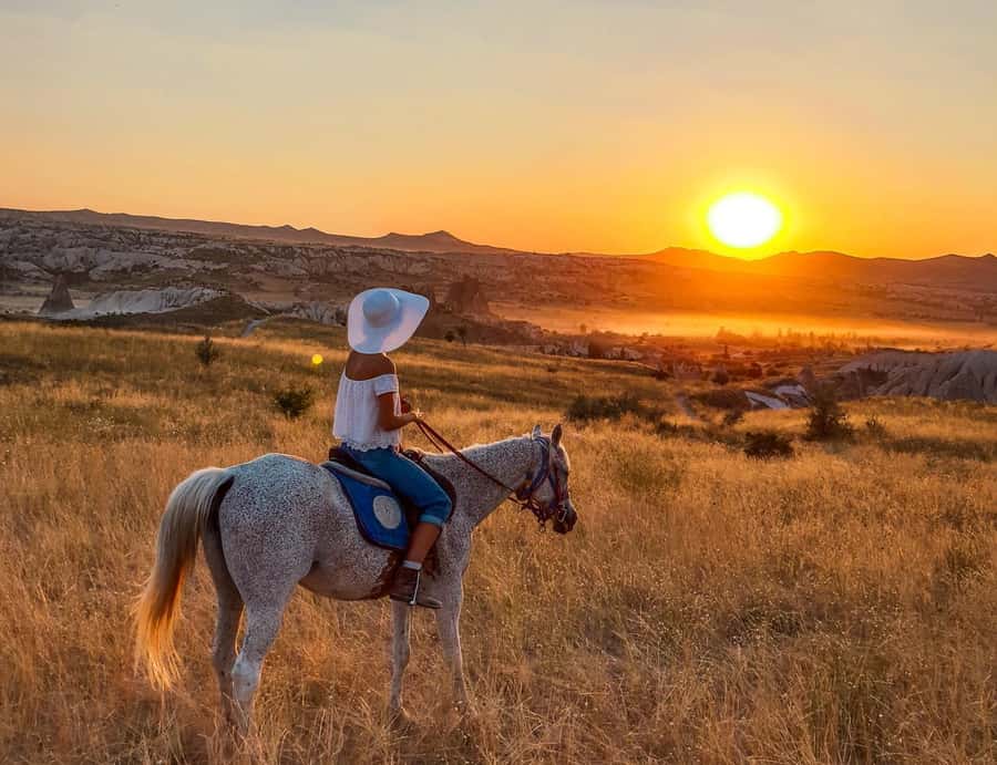Agadir/Taghazout: Horse Rides Experience With Transfers - What the Agadir ride is really like