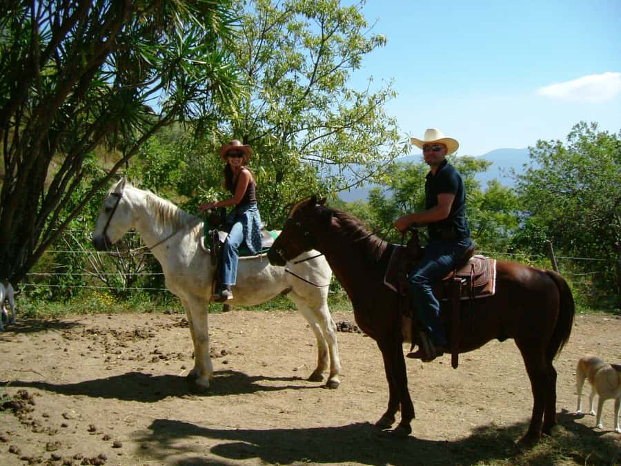 Agadir/Taghazout: Horse Rides Experience With Transfers - Following the river and open ground