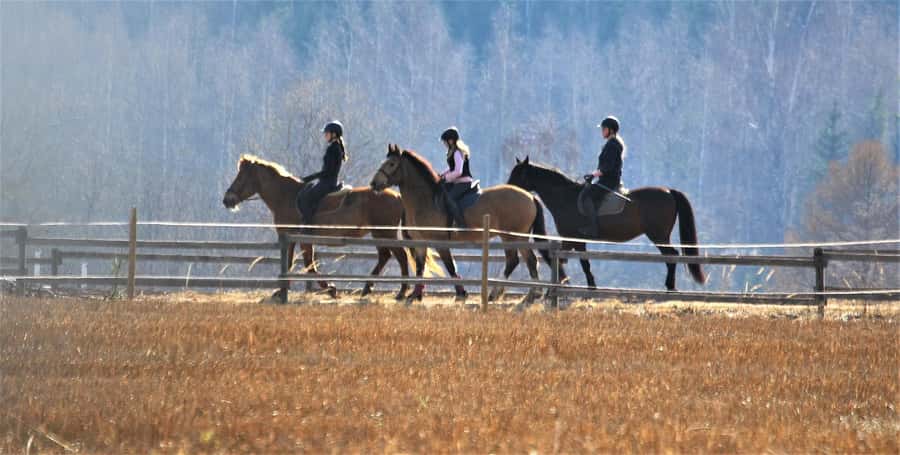 Agadir/Taghazout: Horse Rides Experience With Transfers - A quiet guide, with mixed communication