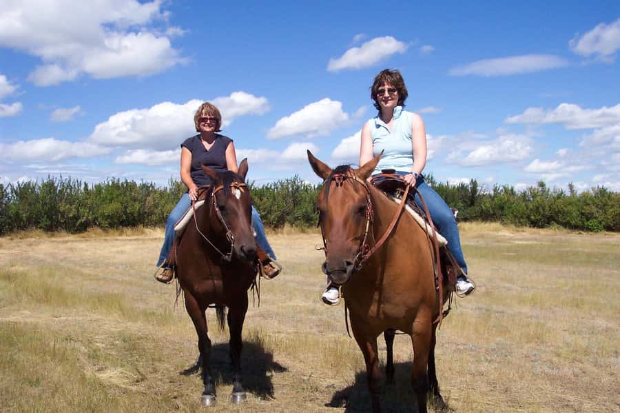 Agadir/Taghazout: Horse Rides Experience With Transfers - Is $23 good value?
