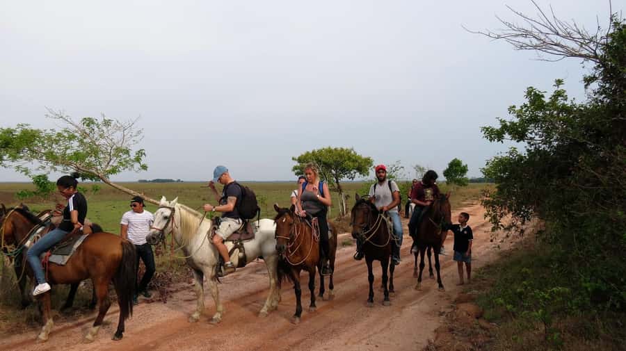 Agadir/Taghazout: Horse Rides Experience With Transfers - Best reasons to choose this horse ride