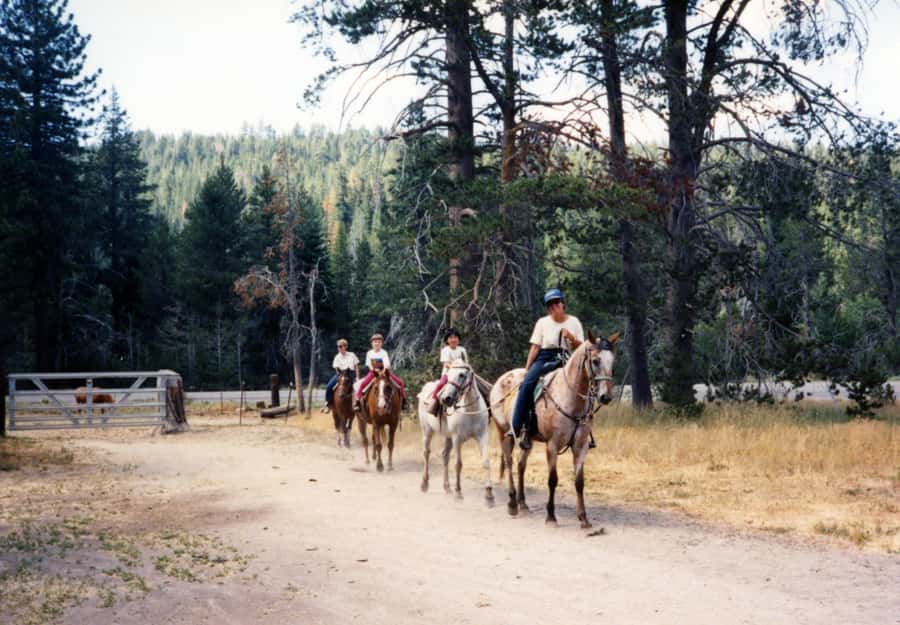Agadir/Taghazout: Horse Rides Experience With Transfers - Who should think twice before booking