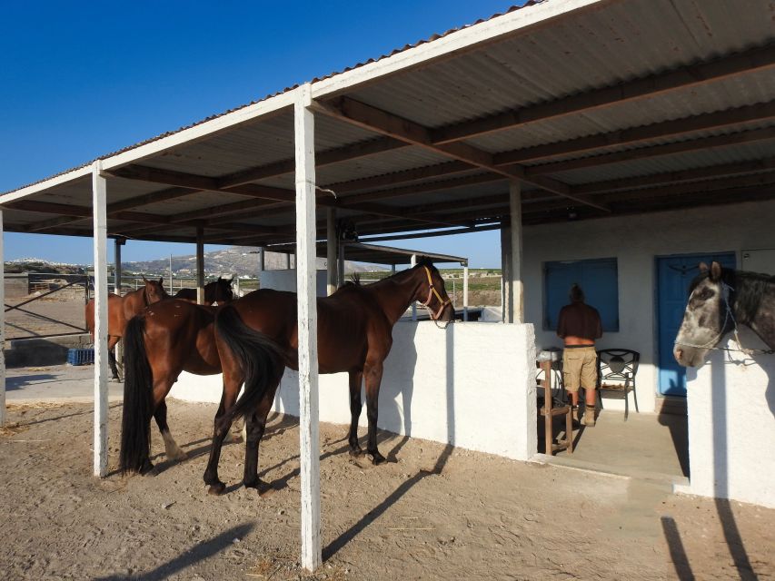 Akrotiri: Guided Horseback Riding Day Trip to a Beach - The small-group advantage