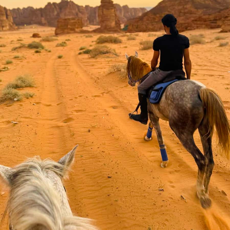 Al-Ula: Guided Horse Riding - Is $76 Good Value for AlUla?