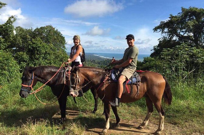 Alanya Horse Riding Experience With Free Hotel Transfer - Key Points Before You Book