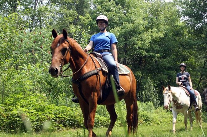Alanya Horse Riding Experience With Free Hotel Transfer - Is $90 Good Value?