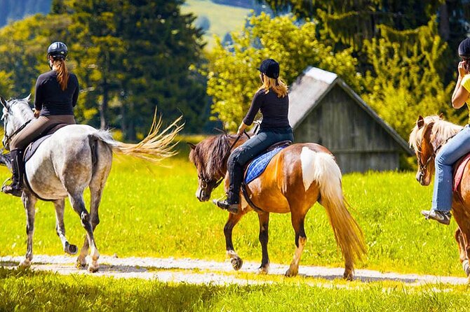 Alanya Horse Riding Experience With Free Hotel Transfer - Who Will Enjoy This Most?