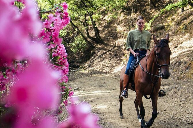 Alanya Horse Riding Experience With Free Hotel Transfer - Riding Gentle Horses Through the Mountain Views