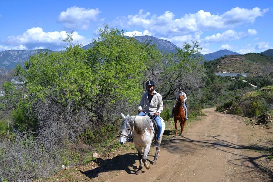 Alanya: Horse Riding Tour - Key points at a glance