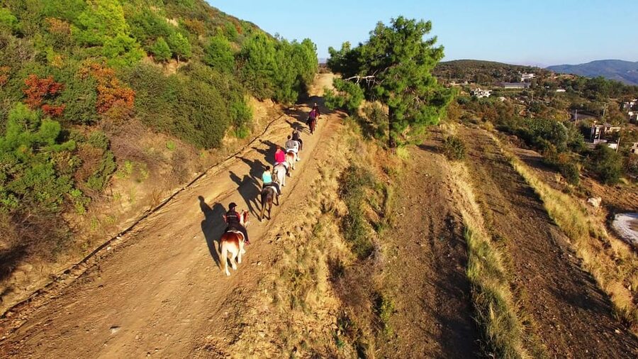 Alanya: Horse Riding Tour - What to bring and what to expect