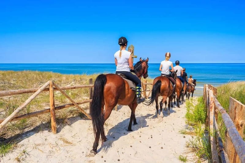 Alanya: Horse Riding Tour with Hotel Transfers - From your hotel to the foothills near Demirtaş