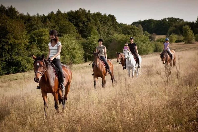 Alanya: Horse Riding Tour with Hotel Transfers - Riding through forest paths and banana groves