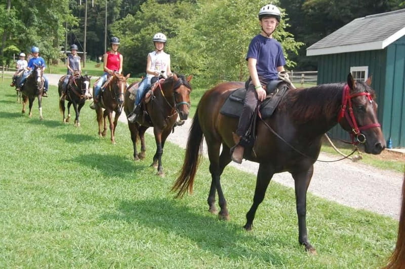 Alanya: Horse Riding Tour with Hotel Transfers - Should you book it?