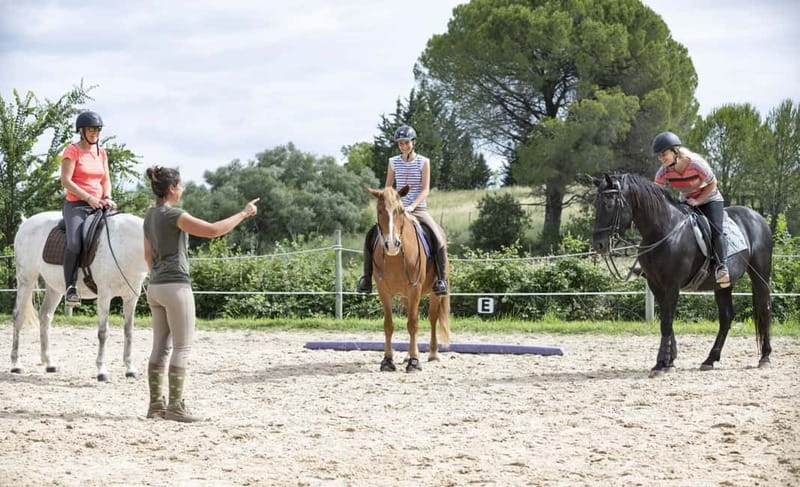 Alanya: Horse Riding Tour with Hotel Transfers - Meeting the horses at the ranch