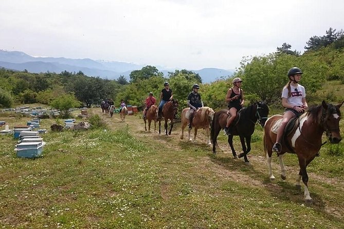 Alanya: Horseback Ride Through Nature near Syedra Ruins - Riding above the Mediterranean coast