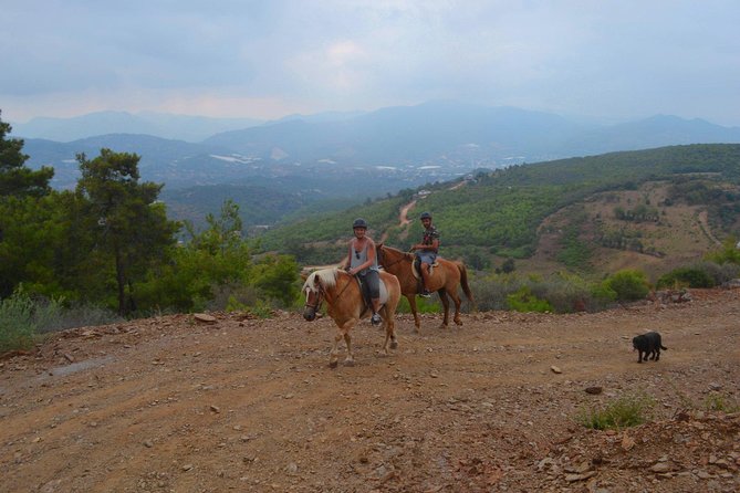 Alanya: Horseback Ride Through Nature near Syedra Ruins - Reaching ancient Syedra by horseback