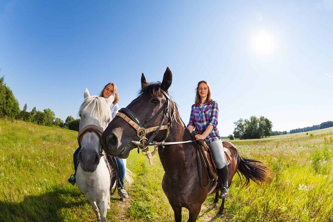 Alanya Horseback Riding Experience - The short road section before the forest