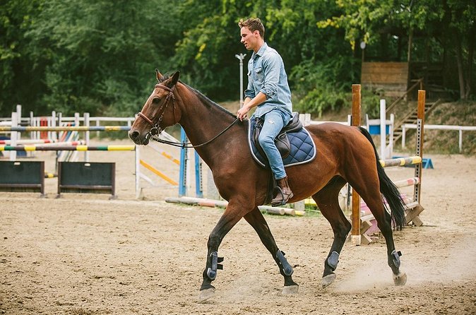 Alanya Horseback Riding Experience - Forest paths, open views, and the main ride