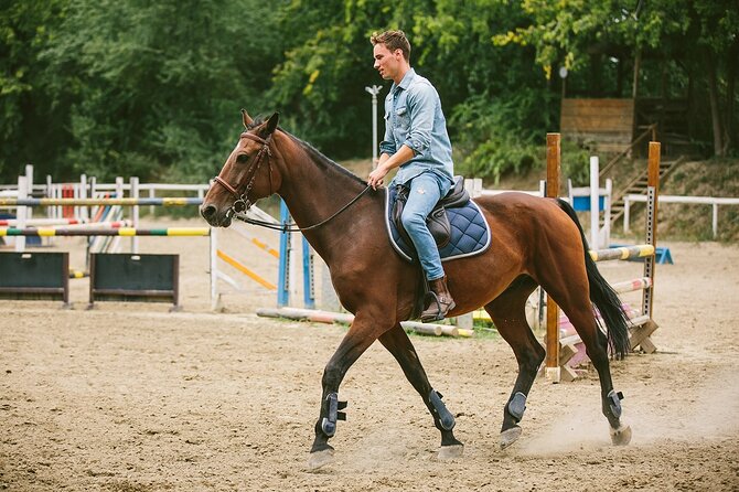 Alanya Horseback Riding Experience - Booking, weather, and cancellation tips