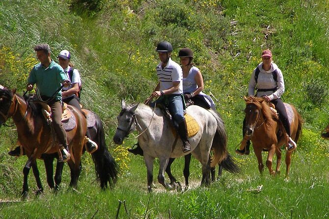 Alanya Horseback Riding Experience - From hotel gate to the riding yard