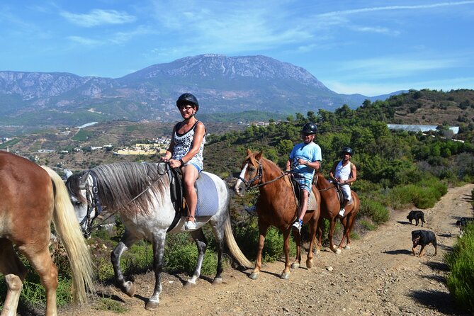 Alanya: Horseback Riding in Taurus: Forest Sea Views 2.5 Hours - At a Glance