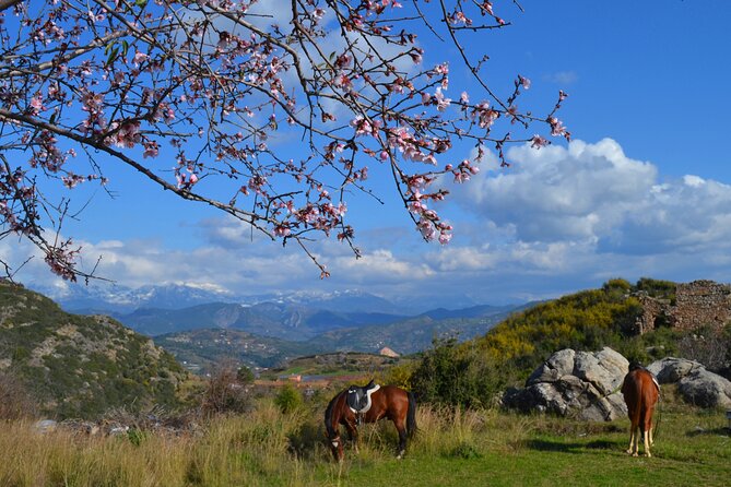 Alanya: Horseback Riding in Taurus: Forest Sea Views 2.5 Hours - Riding Through the Taurus Forest