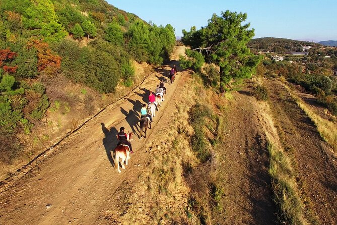 Alanya: Horseback Riding in Taurus: Forest Sea Views 2.5 Hours - The Farm Visit and Personal Touches