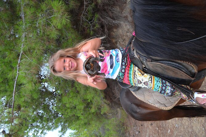 Alanya: Horseback Riding in Taurus: Forest Sea Views 2.5 Hours - Is $84.29 a Fair Price?