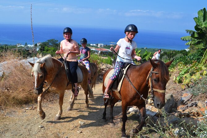 Alanya: Horseback Riding in Taurus: Forest Sea Views 2.5 Hours - Group Size, Language, and Practical Timing
